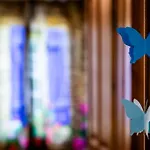 Blue Butterfly Апартаменты *