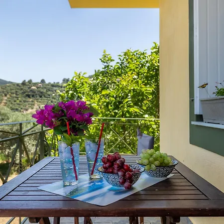 Blue Butterfly Apartament