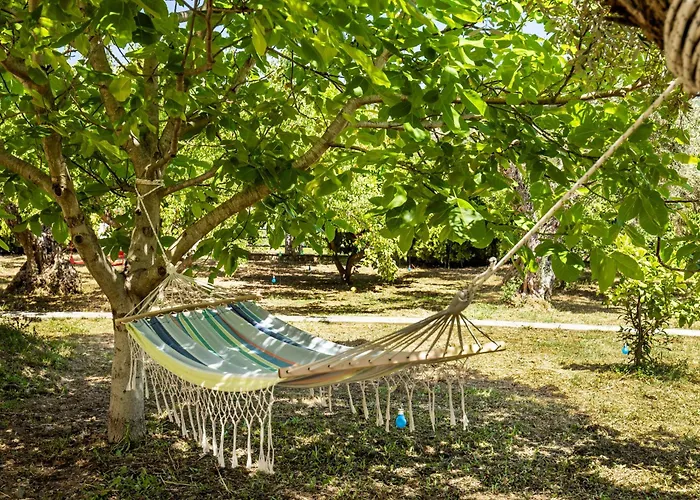 Daire Blue Butterfly *